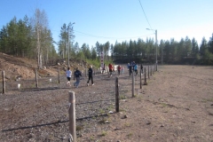 Sarjamaastot 2011